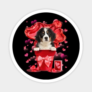 Bernese Mountain Dog In Red Pot Happy Valentine Magnet